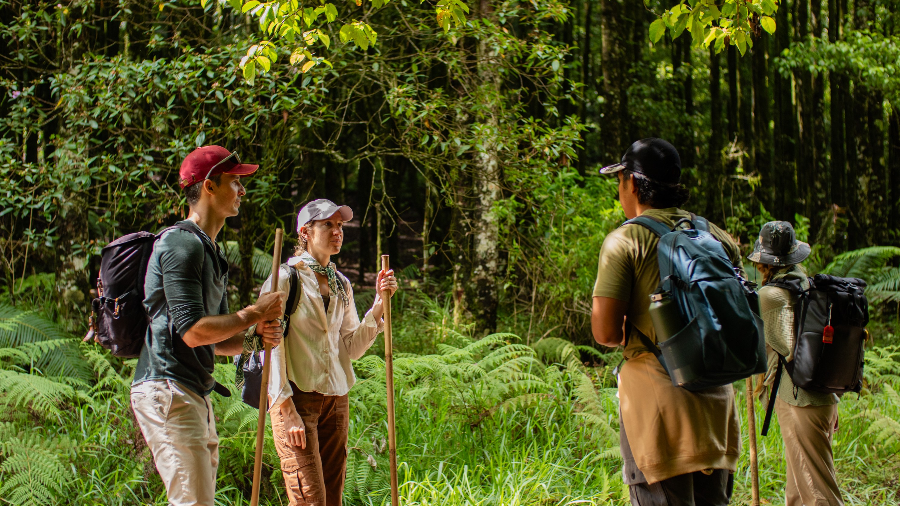10 Day Walking Pilgrimage Journey w/ Astungkara Trail, Indonesia 4