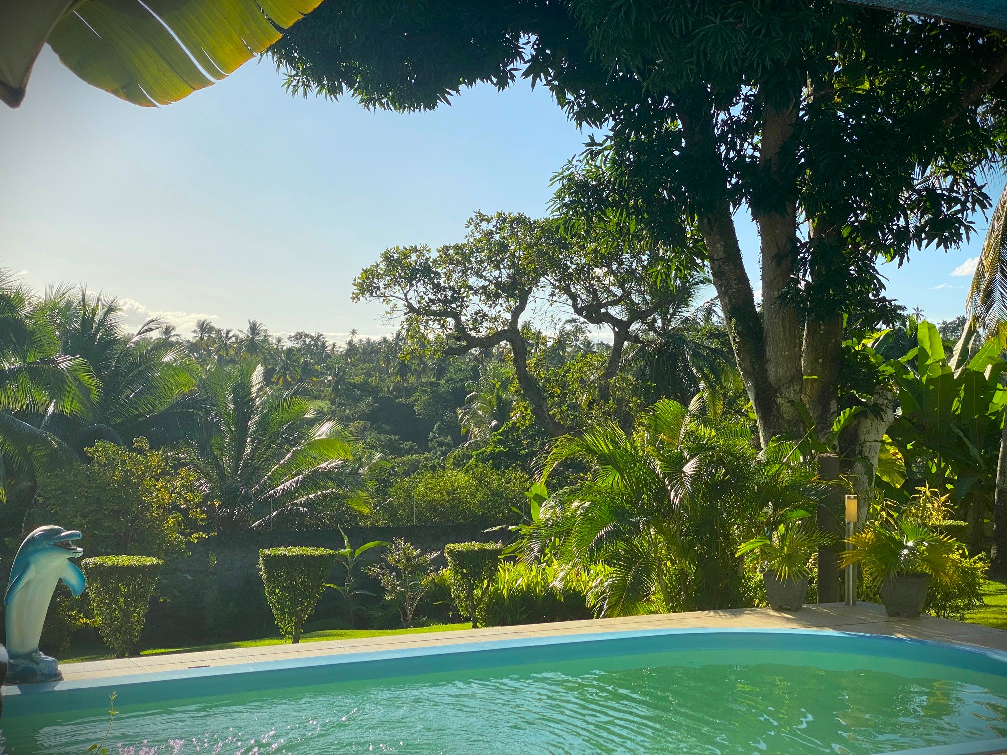 14-Day Ayahuasca Retreat with Flow Brazil Yoga, Meditation and Massages in Salvador da Bahia, Brazil 14
