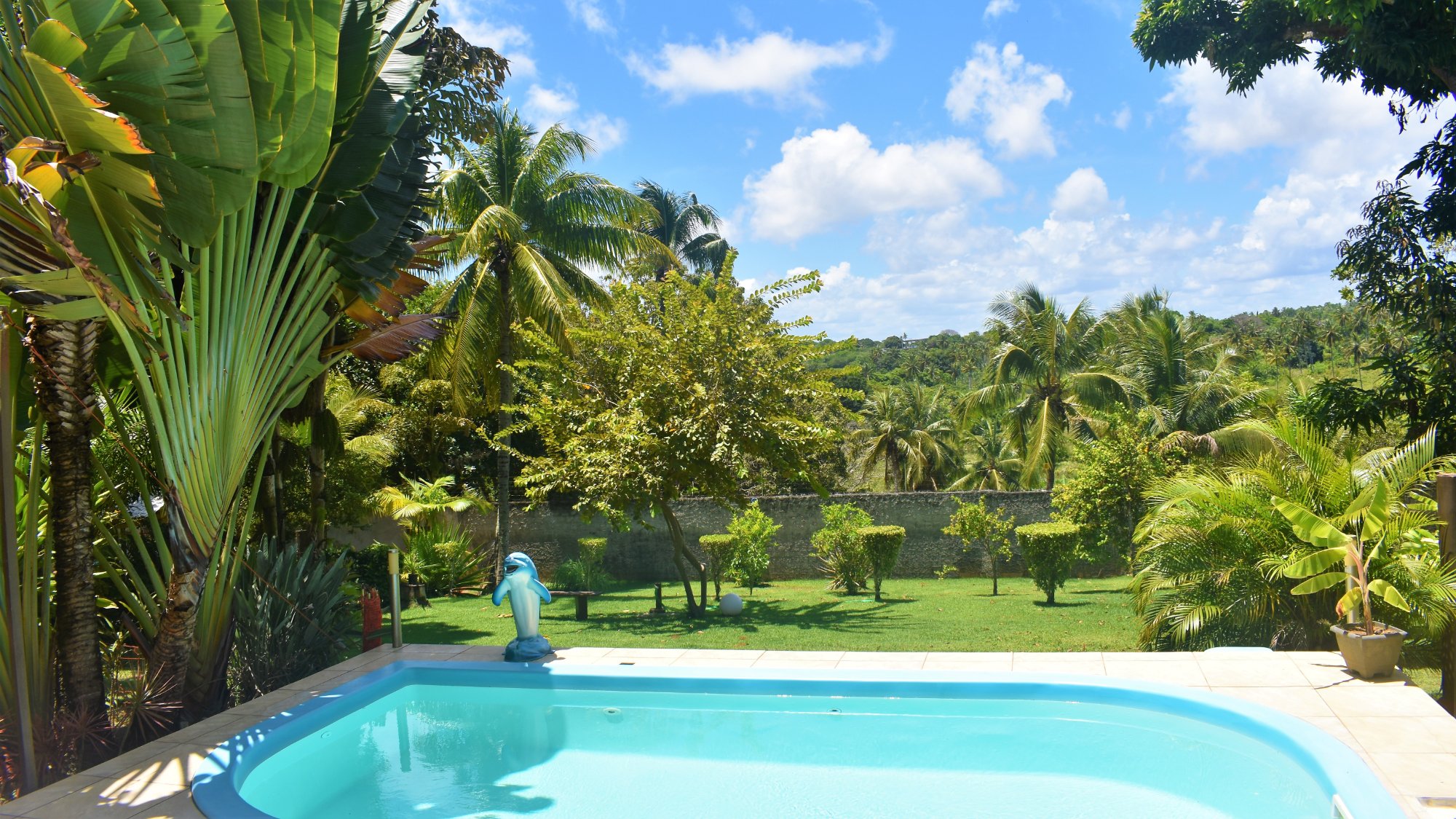 14-Day Ayahuasca Retreat with Flow Brazil Yoga, Meditation and Massages in Salvador da Bahia, Brazil 19