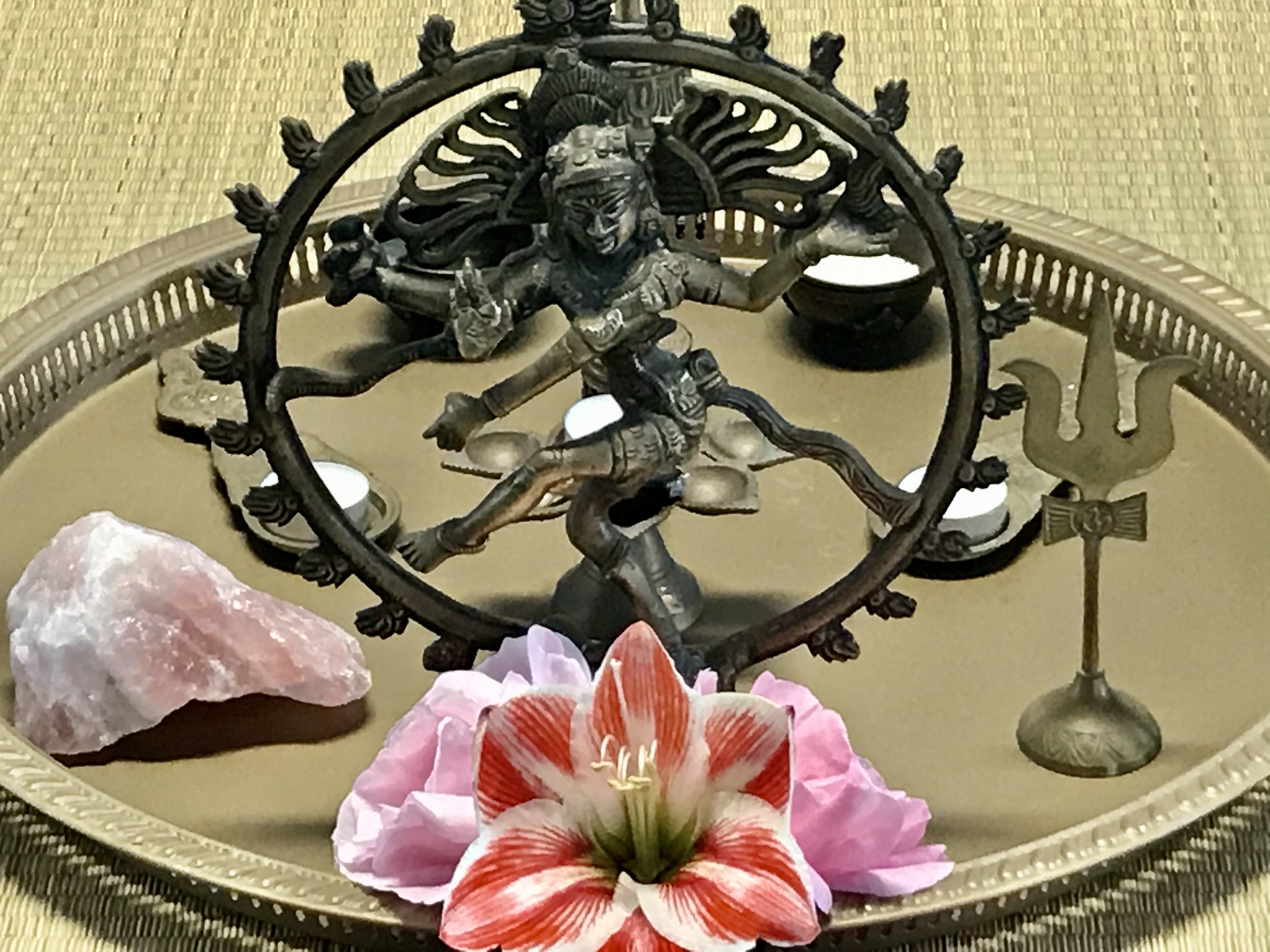 19 Dagen 200 Uur Hatha & Vinyasa Yogalerarenopleiding 19