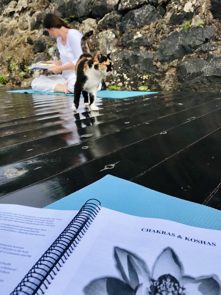19 Dagen 200 Uur Hatha & Vinyasa Yogalerarenopleiding 28