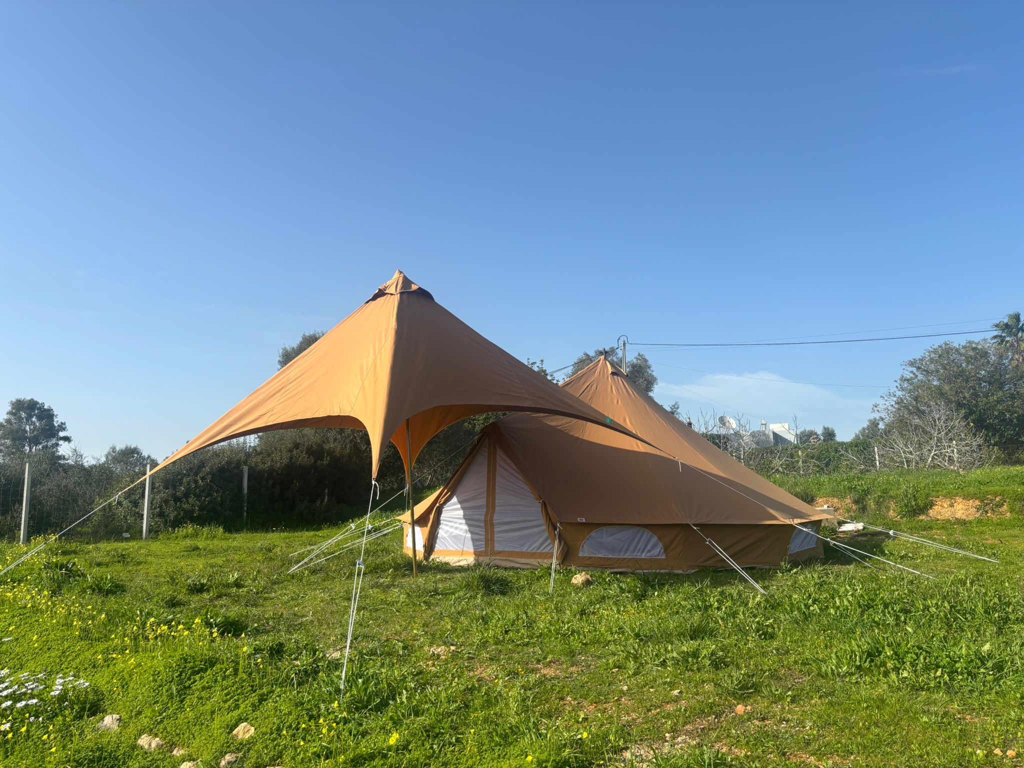 Cerimónia Privada de Psilocibina de 2 Dias em Alcantarilha, Portugal 12