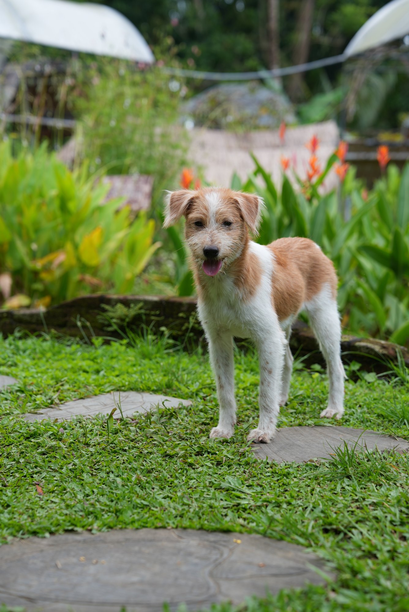200-uur Yogalerarenopleiding in Ubud, Bali 13