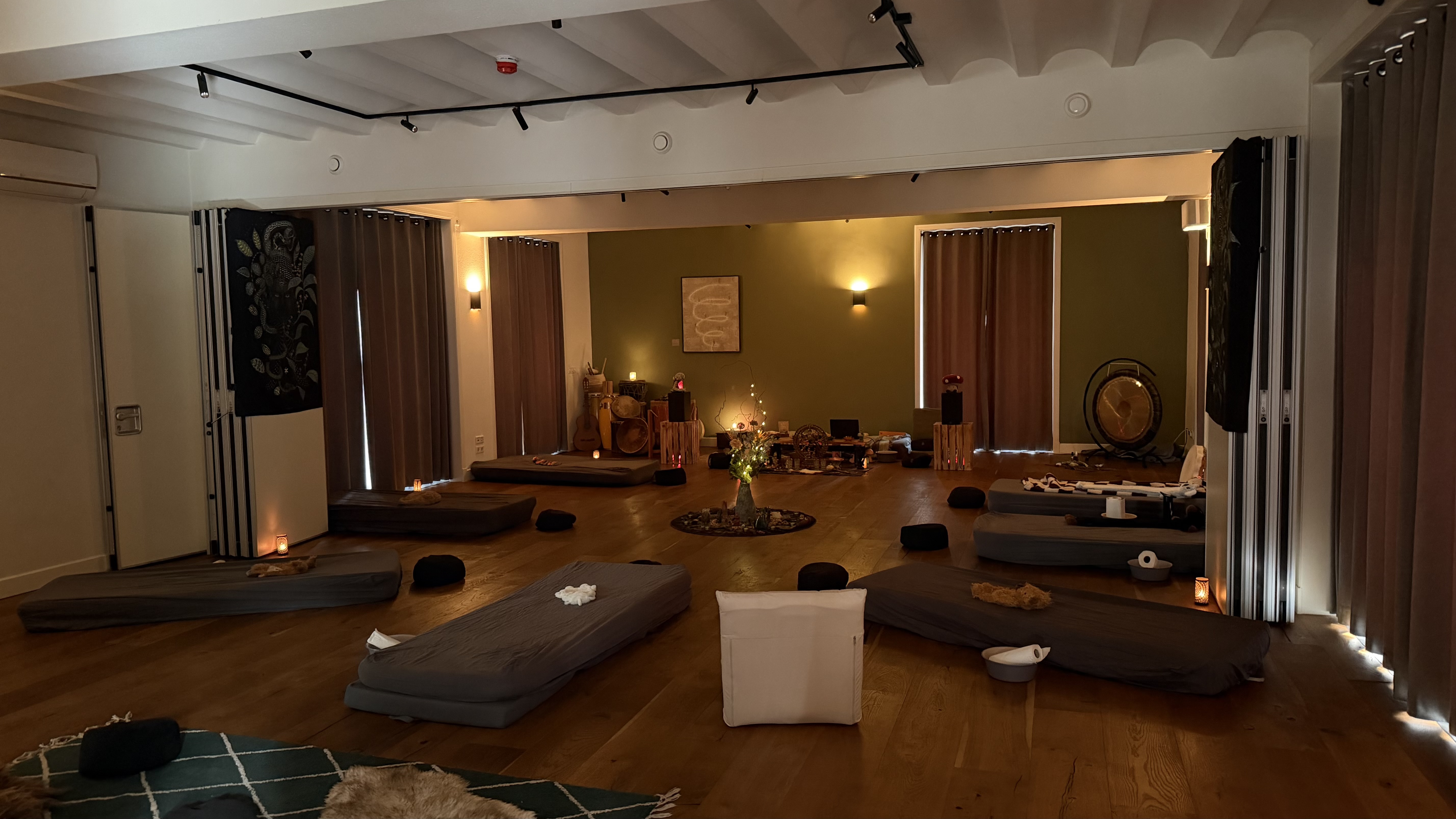 Week-end cérémonie d'ayahuasca de 3 jours aux Pays-Bas 12