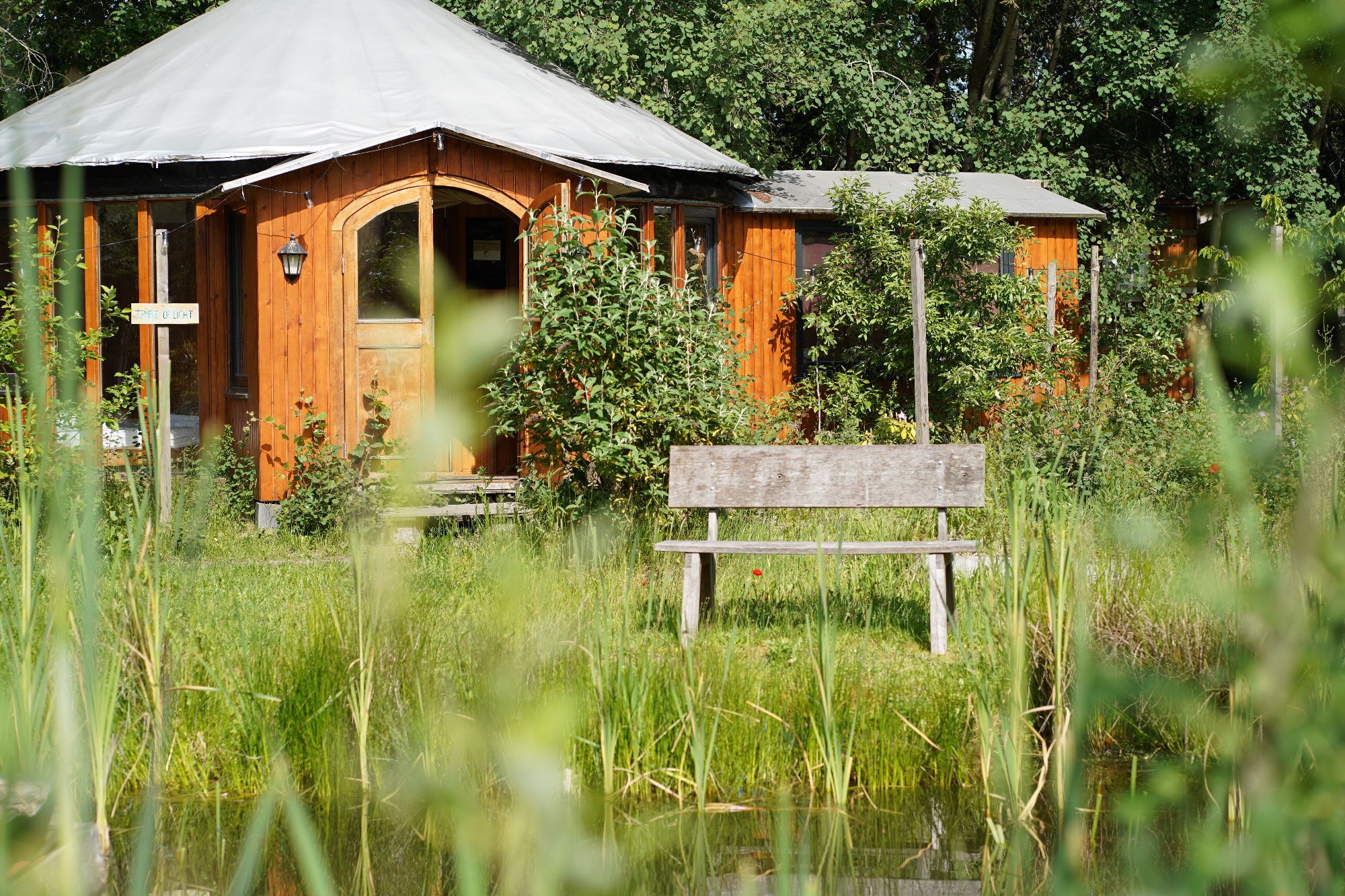 Week-end cérémonie d'ayahuasca de 3 jours aux Pays-Bas 13