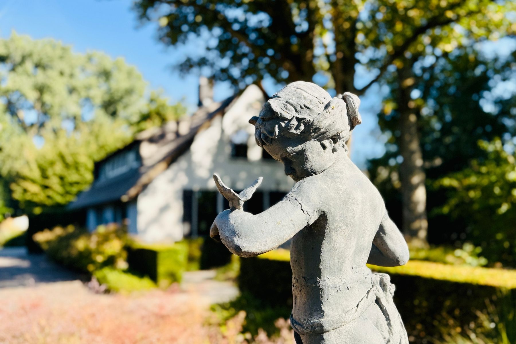 3 Day Guided Psilocybin Retreat in the Netherlands 3
