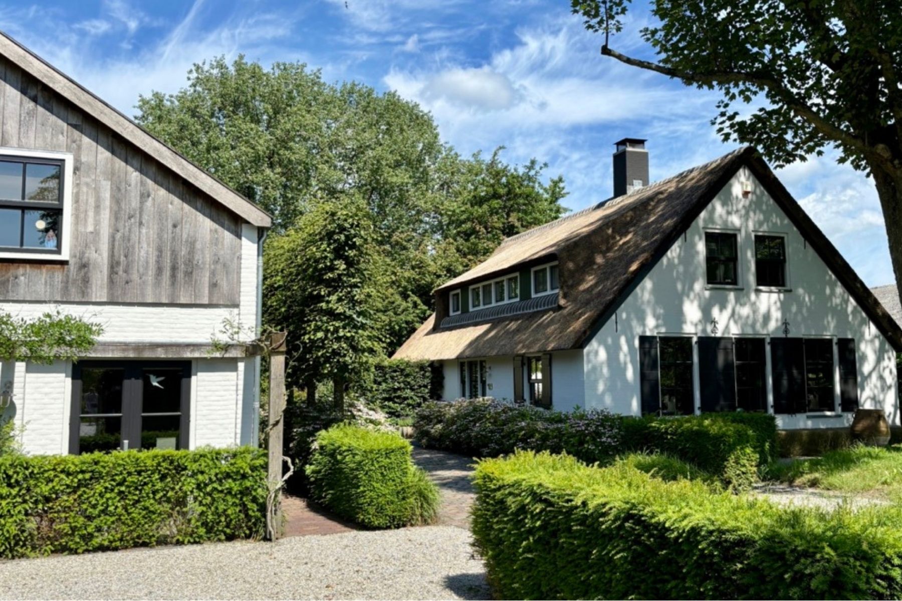 3 Day Guided Psilocybin Retreat in the Netherlands 4