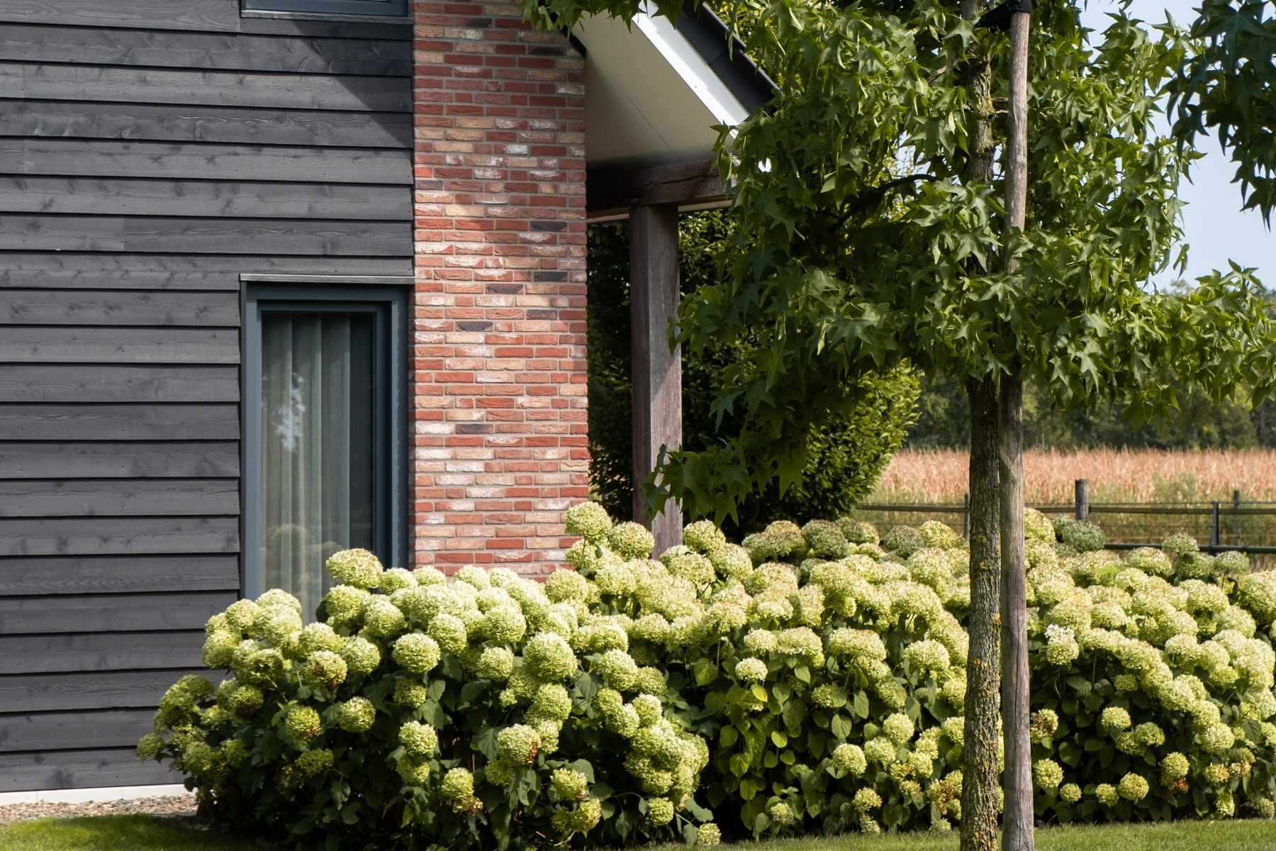 3-daagse Duo Psilocybine Retreat in Nederland 6