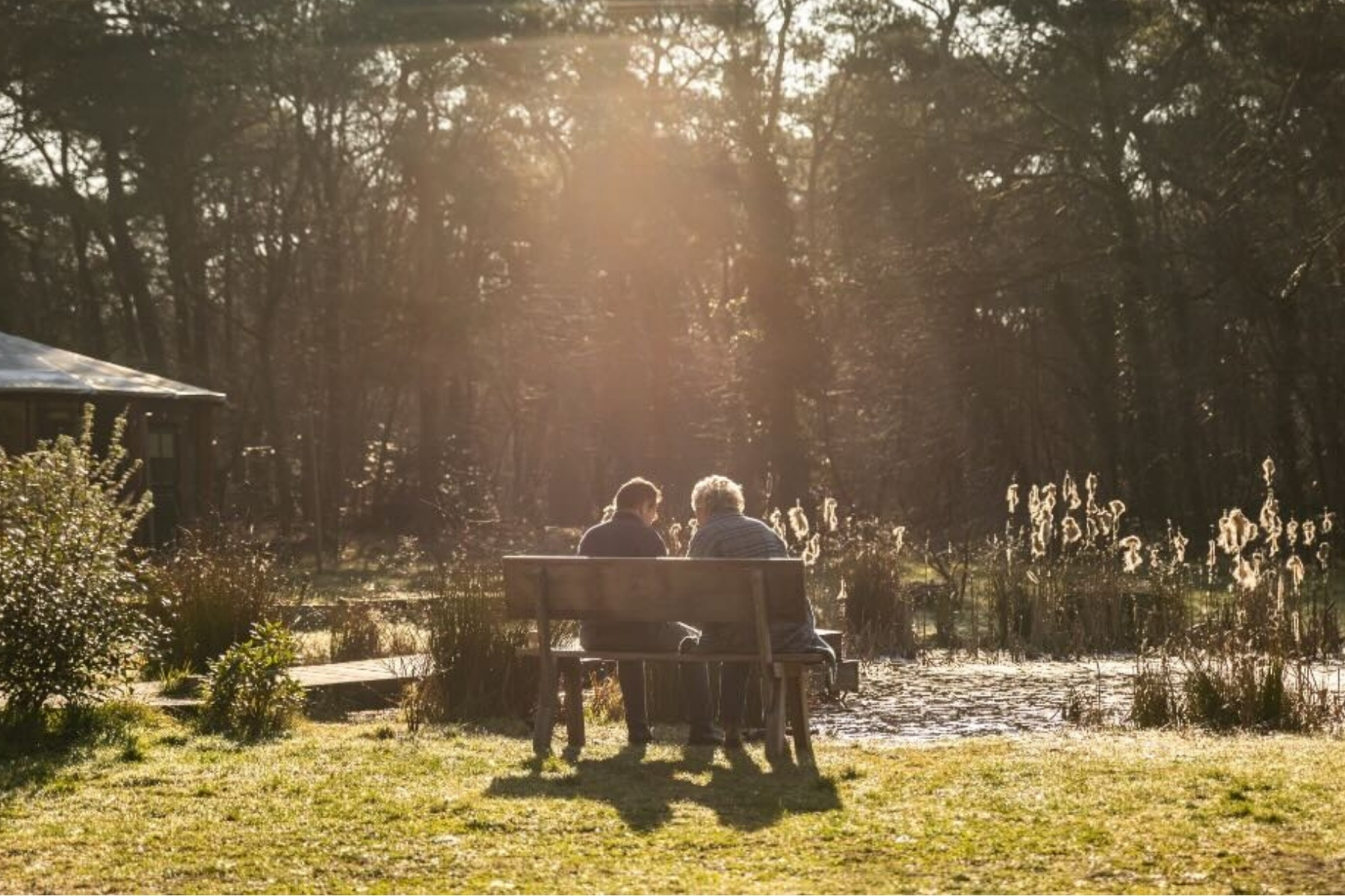 3-Day Duo Psilocybin Retreat in the Netherlands
