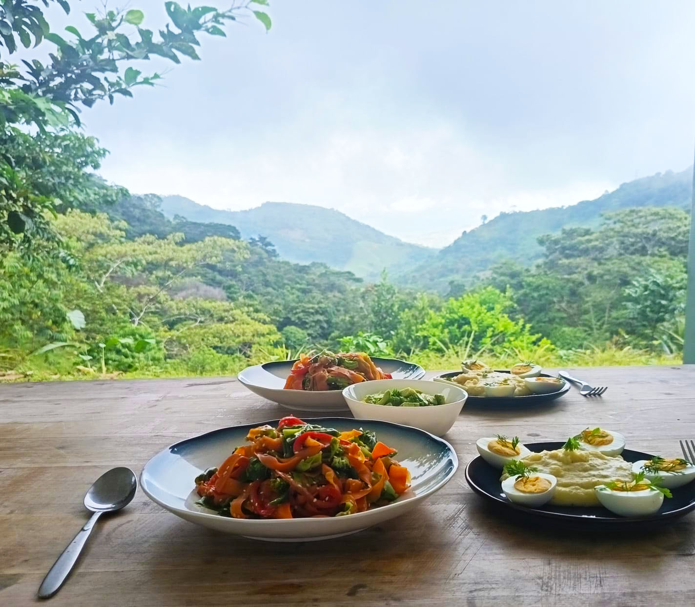 Retiro privado de 3 dias com psilocibina – Regressar a Casa, Costa Rica 28