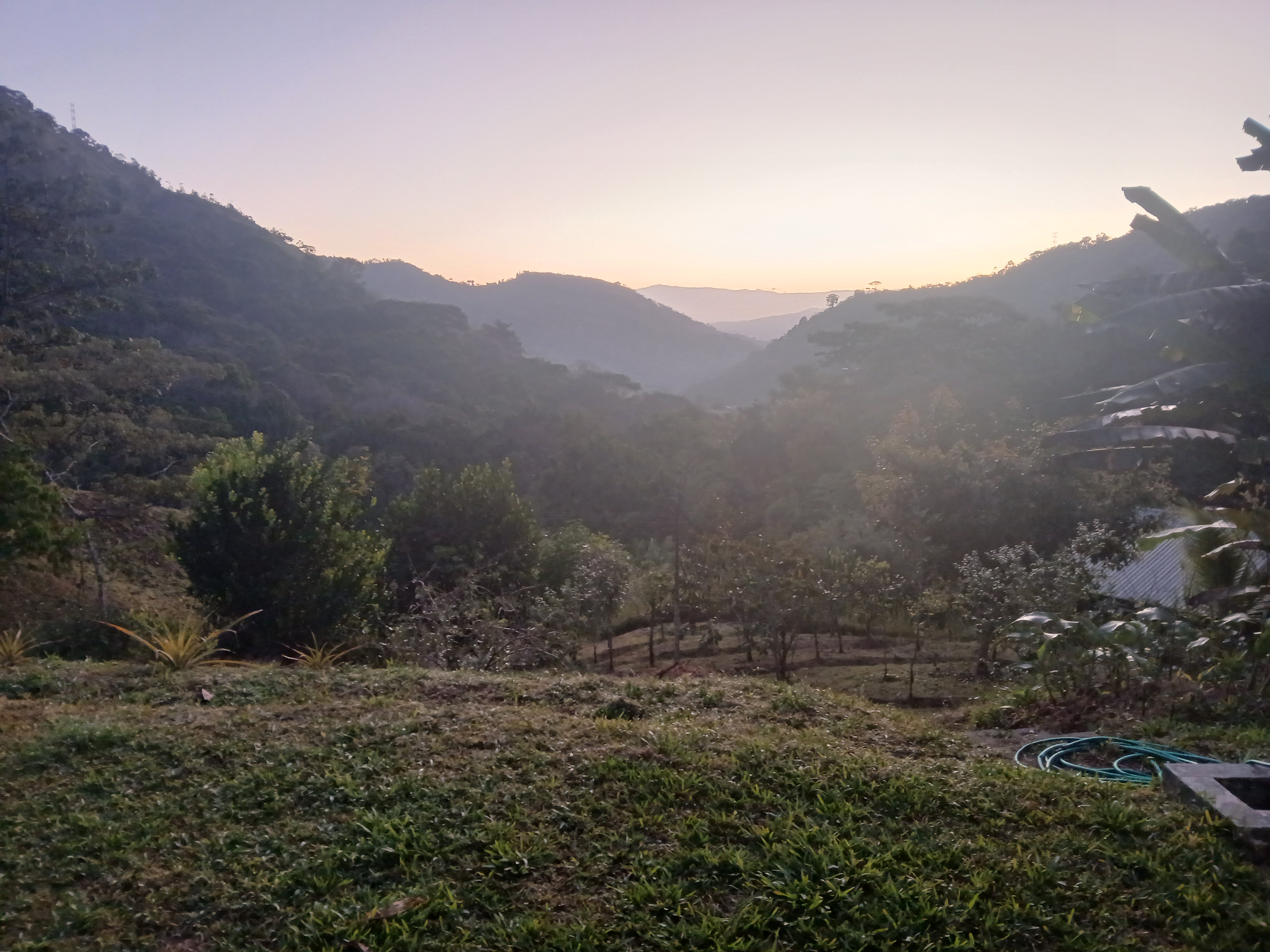 Retiro privado de 3 dias com psilocibina – Regressar a Casa, Costa Rica 35