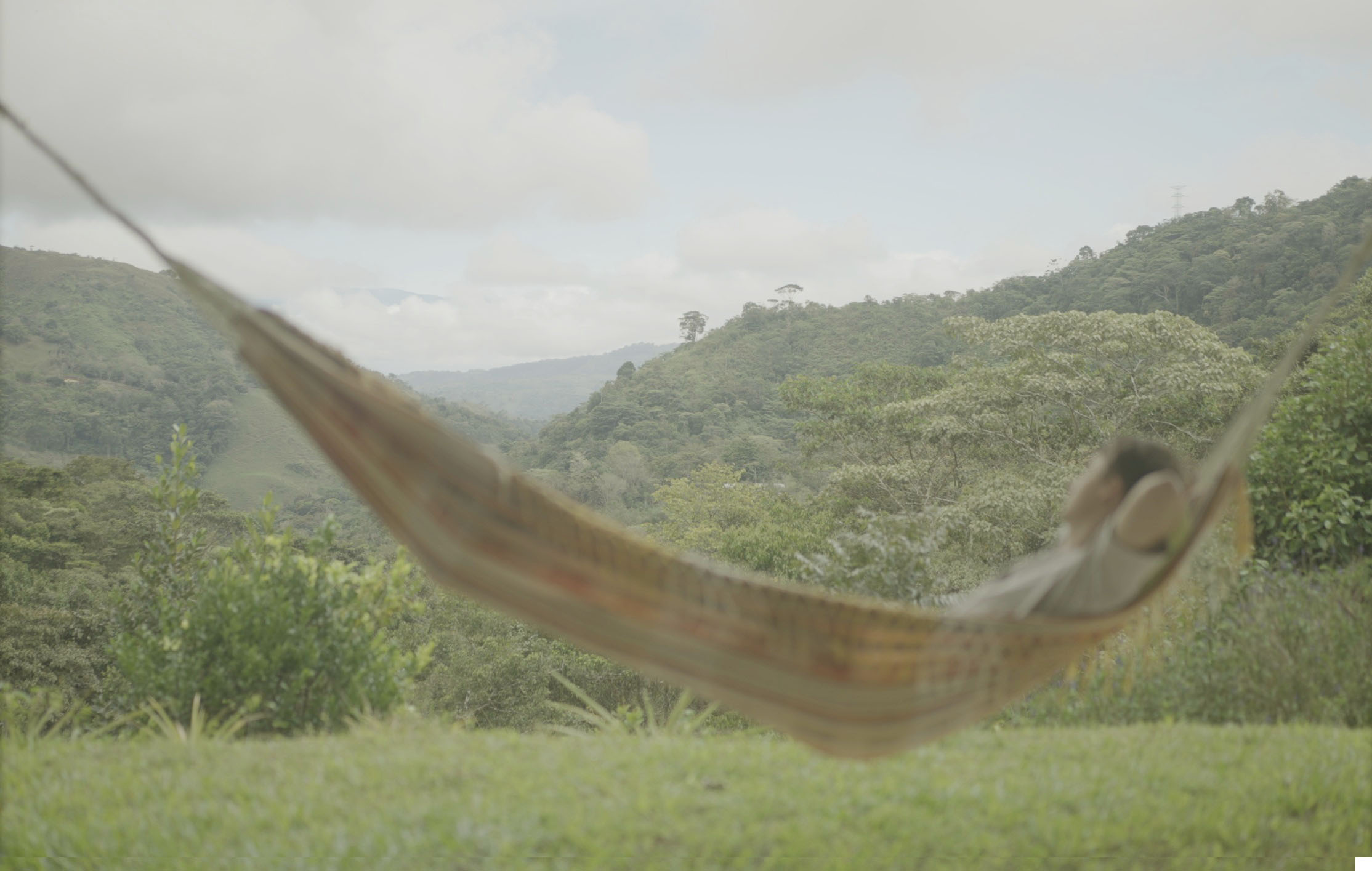 Retiro privado de 3 dias com psilocibina – Regressar a Casa, Costa Rica 33