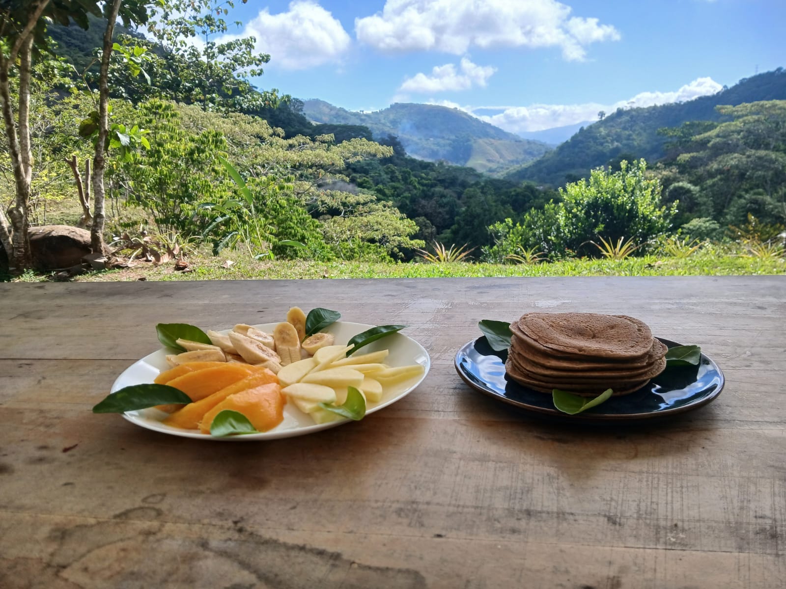 Retiro privado de 3 dias com psilocibina – Regressar a Casa, Costa Rica 34
