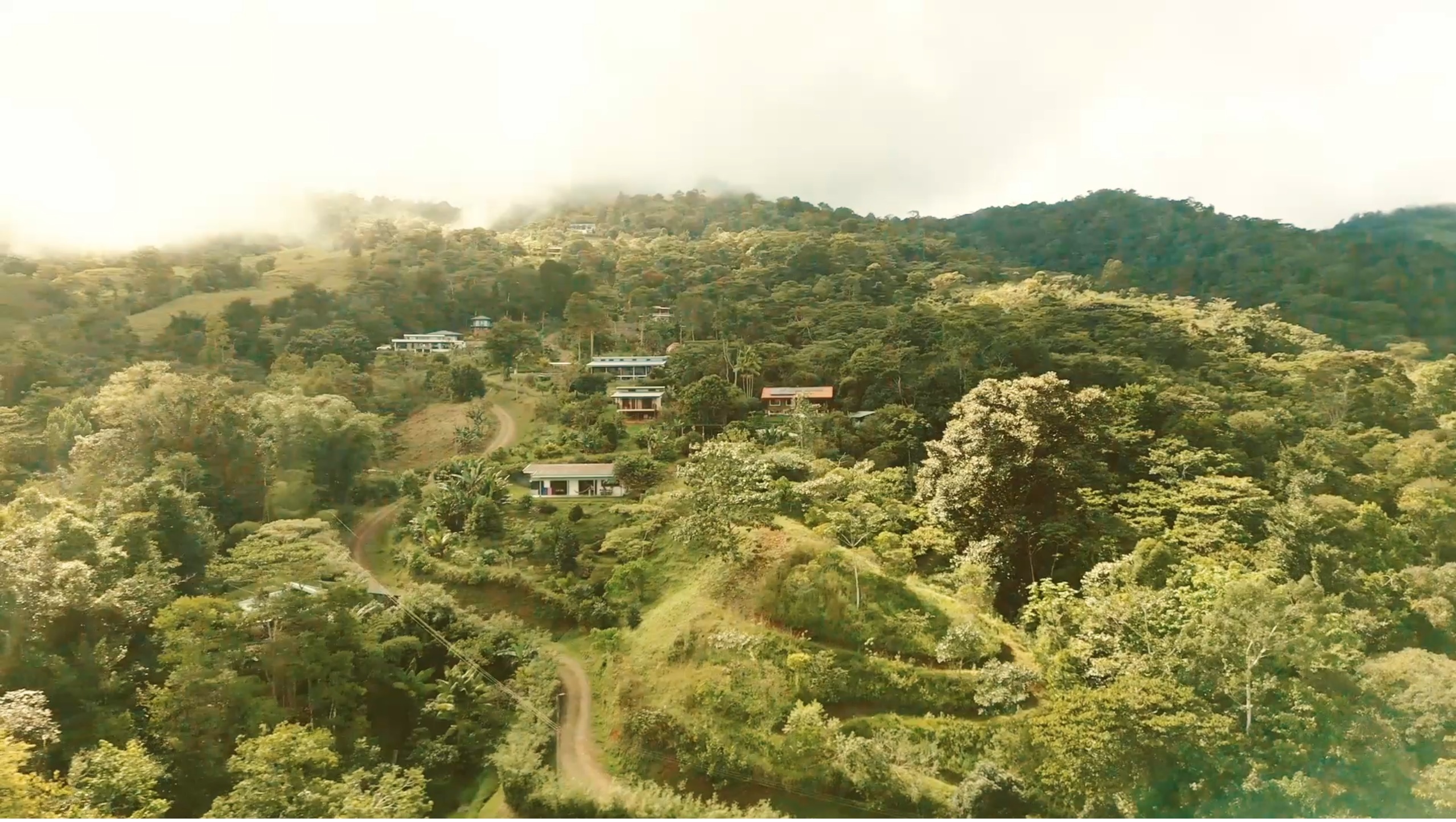 3 Day Private Psylocibin - Coming Home - Retreat, Costa Rica