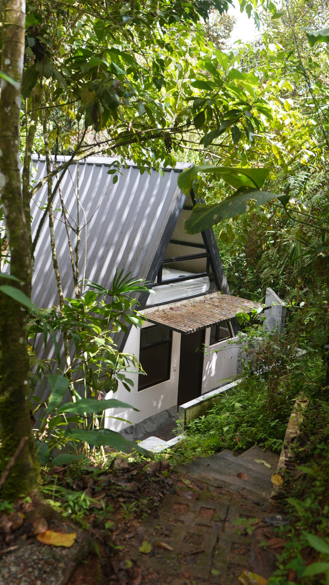 Retiro privado de 3 dias com psilocibina – Regressar a Casa, Costa Rica 29