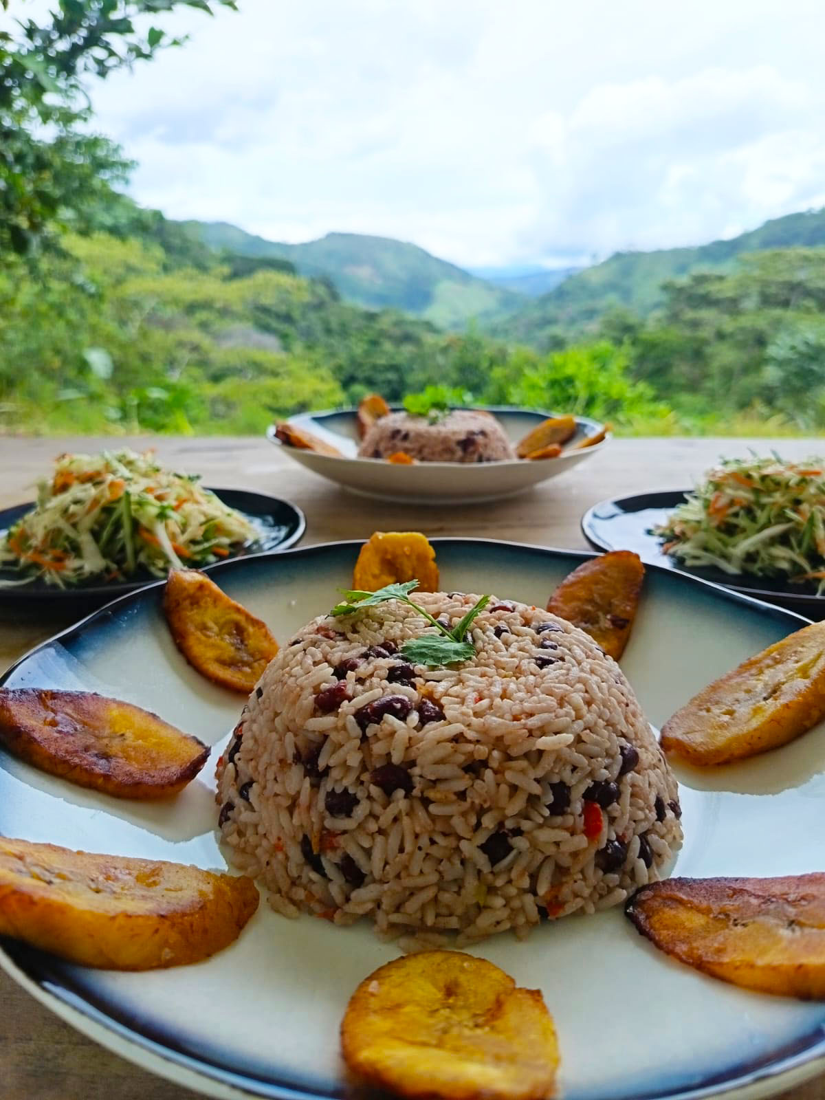 Retiro privado de 3 dias com psilocibina – Regressar a Casa, Costa Rica 27