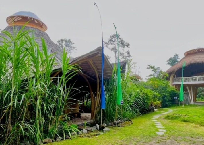 300-Hour Advanced Hatha Yoga Teacher Training in Bali 4