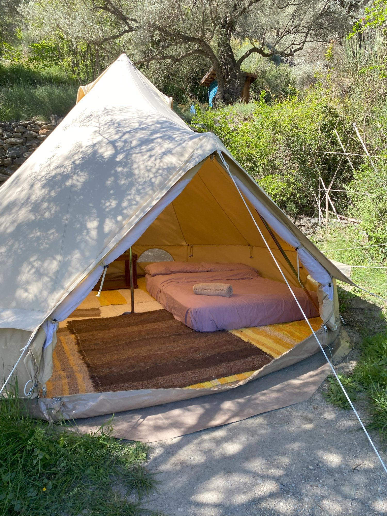 5 Day Yoga and Nature Immersion Retreat in Southern Spain 4
