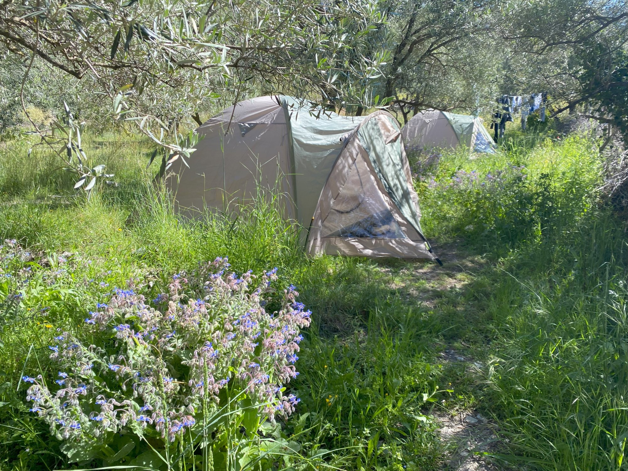 5 Day Yoga and Nature Immersion Retreat in Southern Spain 5