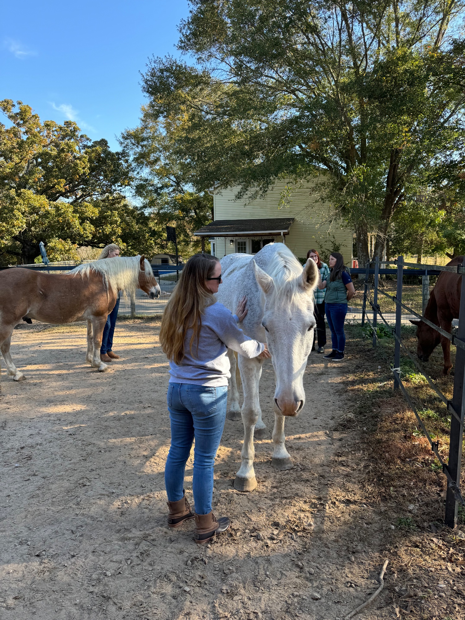Retiro de Yoga, Sabedoria dos Cavalos e Somática para Mulheres de 5 Dias nos EUA 34