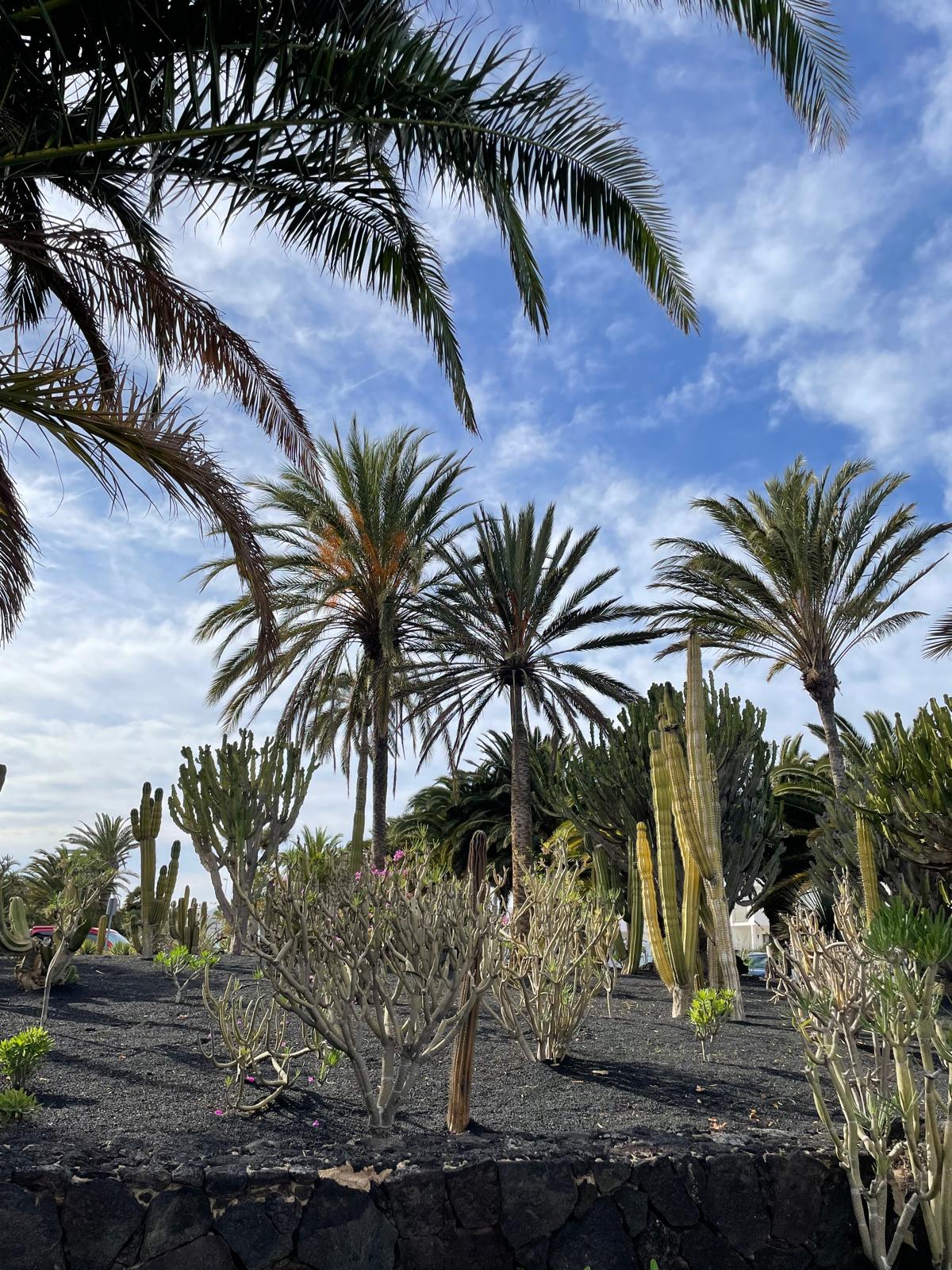 Retraite de yoga de 6 jours pour le Nouvel An à Lanzarote - îles Canaries - Espagne 6