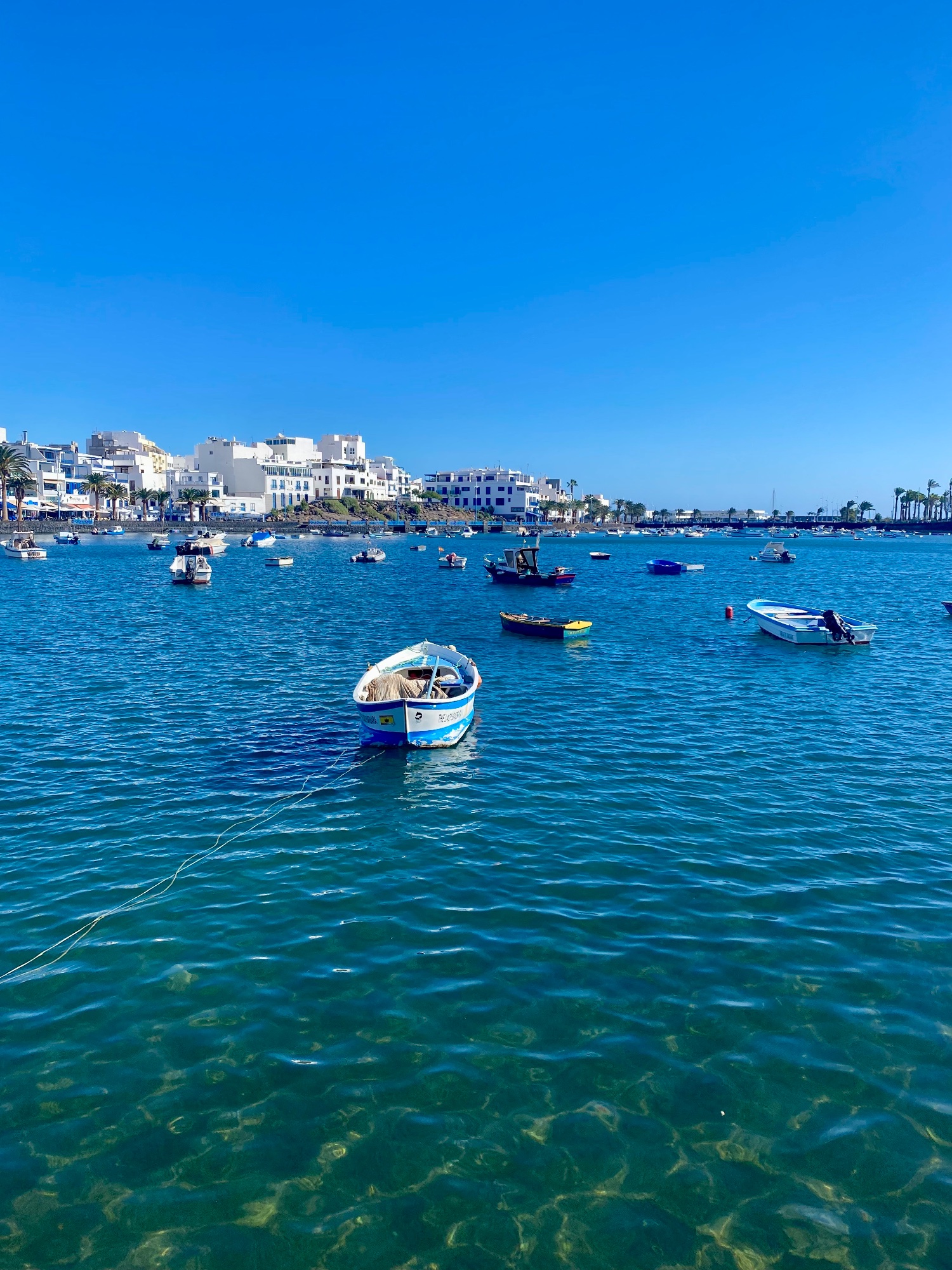 6-Day New Year Yoga Retreat in Lanzarote - Canary Islands - Spain 3