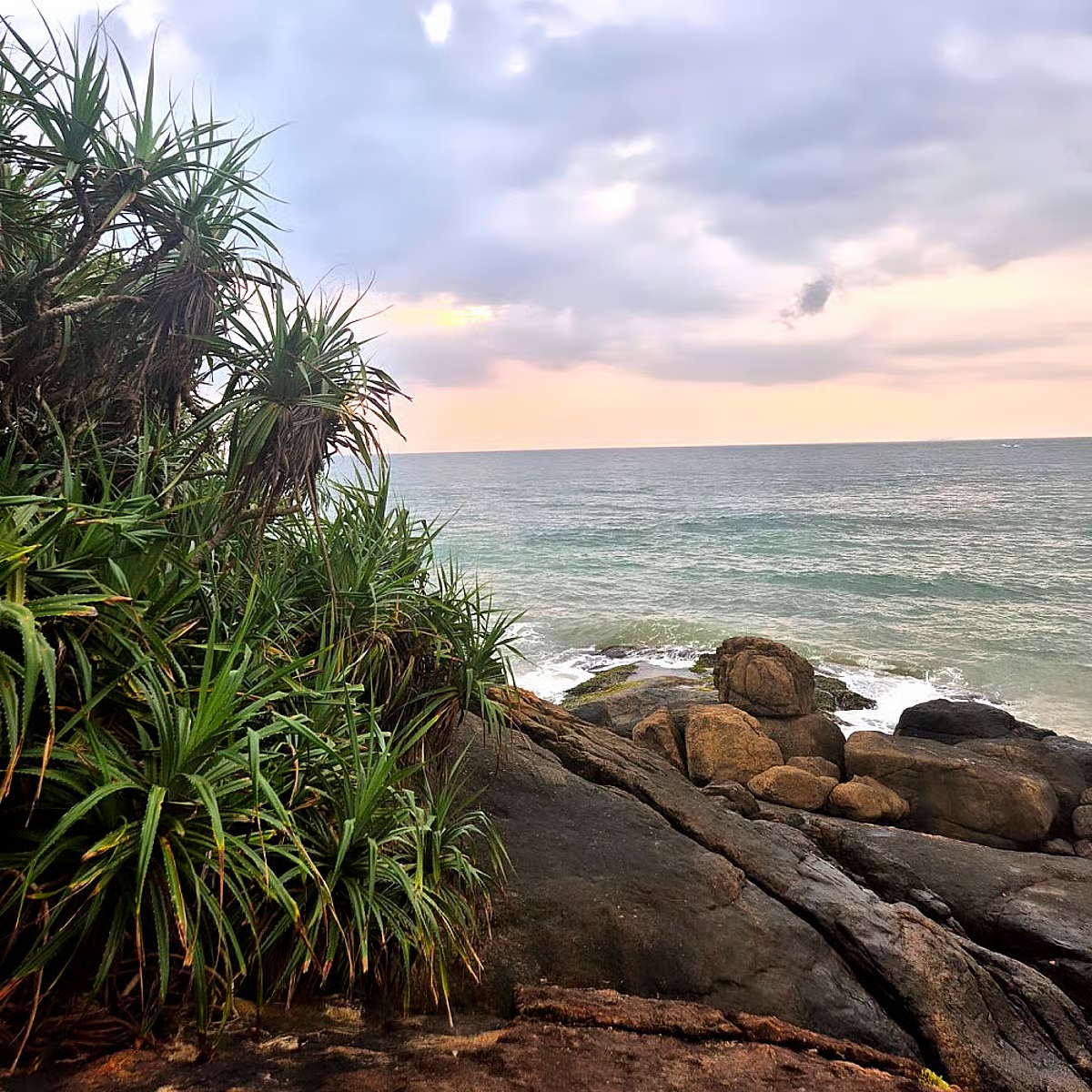 Ritiro yoga di 6 giorni, relax e avventura a Bentota, Sri Lanka 54