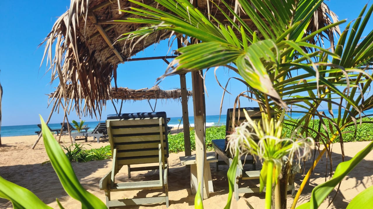 Ritiro yoga di 6 giorni, relax e avventura a Bentota, Sri Lanka 43