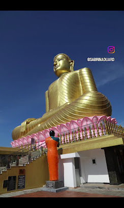 Ritiro yoga di 6 giorni, relax e avventura a Bentota, Sri Lanka 35