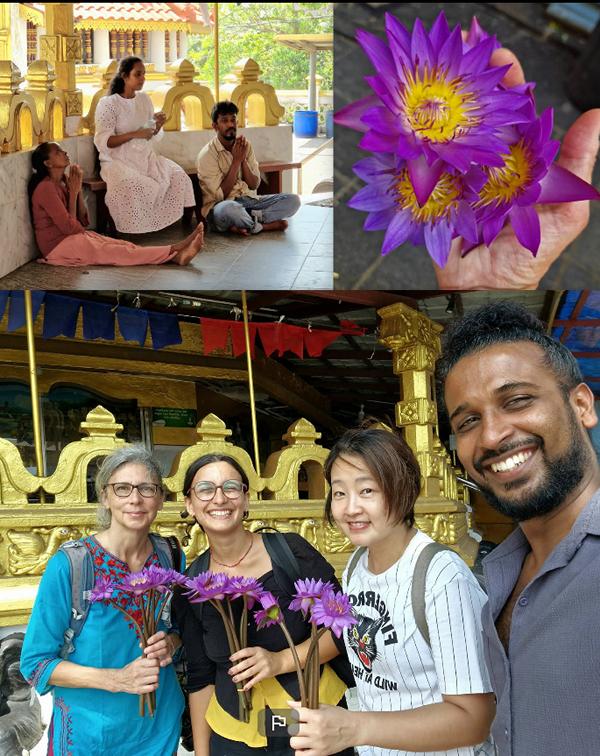 Ritiro yoga di 6 giorni, relax e avventura a Bentota, Sri Lanka 58