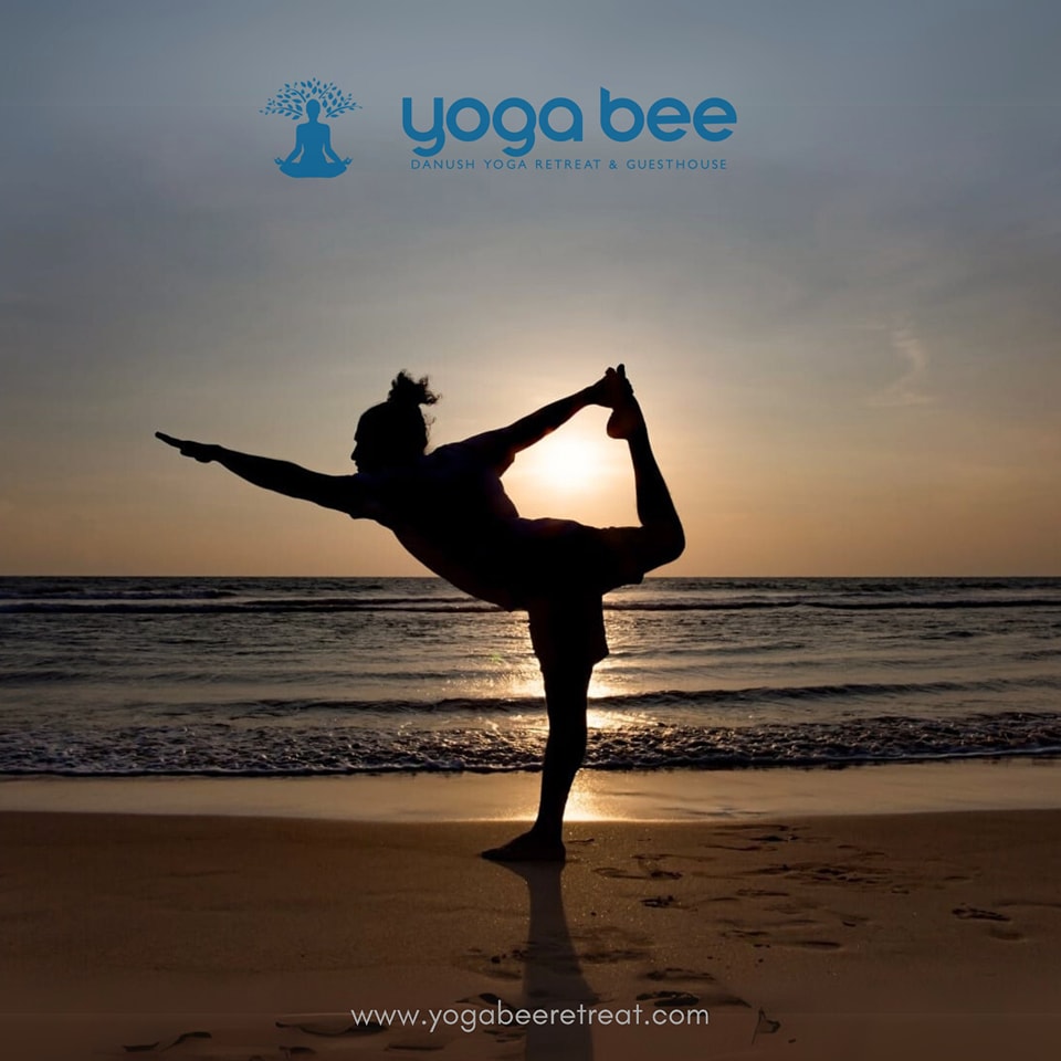 Ritiro yoga di 6 giorni, relax e avventura a Bentota, Sri Lanka 47