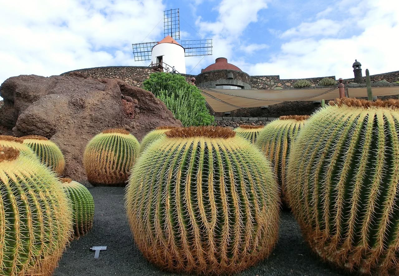 Retraite de yoga de Noël de 7 jours à Lanzarote - îles Canaries - Espagne 20