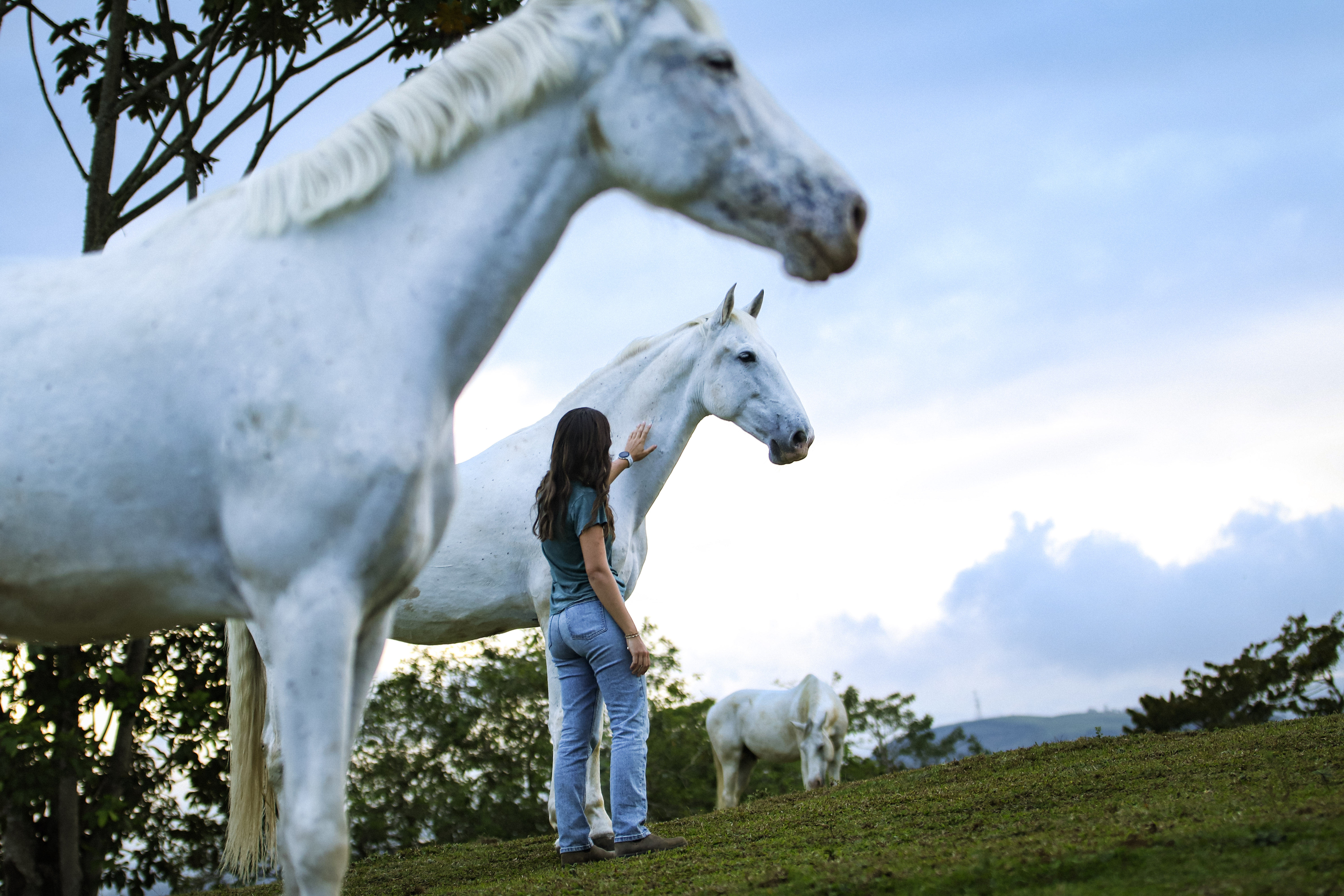 Retiro de 7 Dias de Conexão com Cavalos, Liberty e Yoga na Costa Rica 16