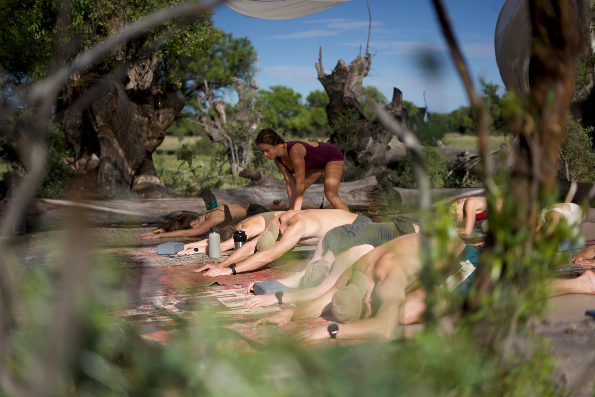 Return to the Wild Self | Luxury Wellness & Wildlife Retreat in South Africa 2