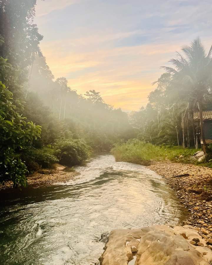 8 Day Yoga, Nature & Culture Retreat in Paksong, South Thailand 20