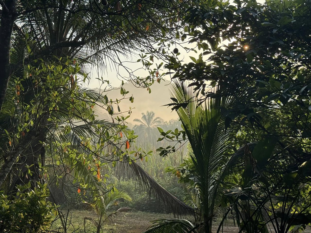 8 Day Yoga, Nature & Culture Retreat in Paksong, South Thailand 19