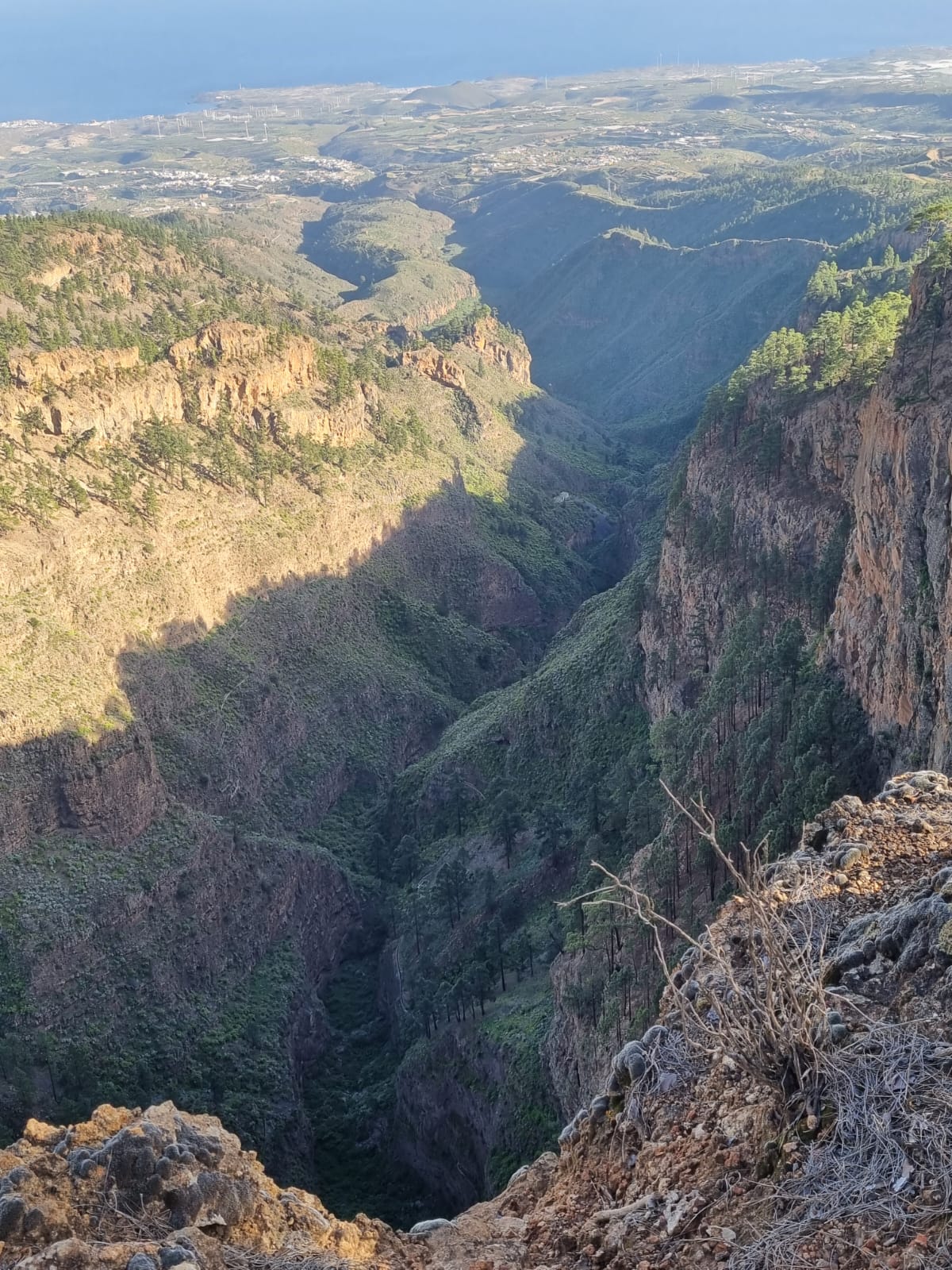 Retiro de Yoga e Mindfulness de 8 Dias para Reencontrar a Sua Verdade Interior em Tenerife, Espanha 38