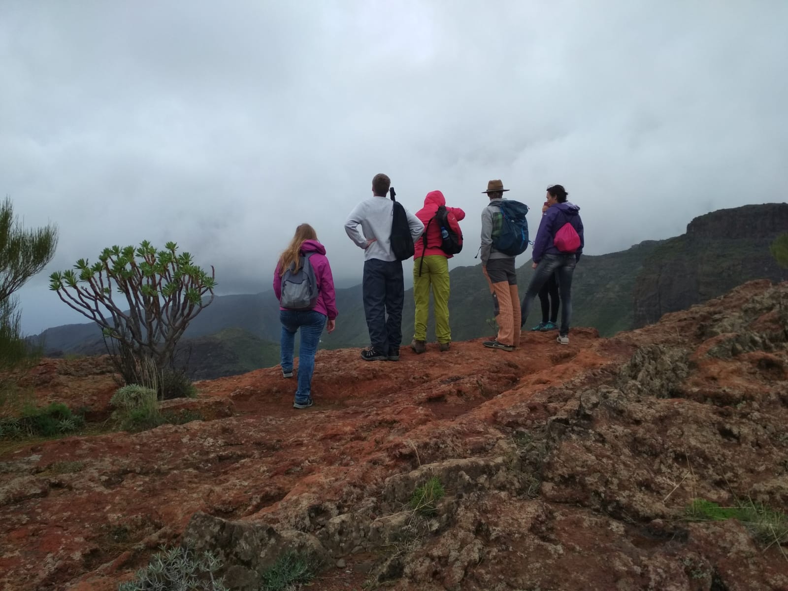 8 Day Yoga and Mindfulness Retreat to Reconnect with Your Inner Truth in Tenerife, Spain 2