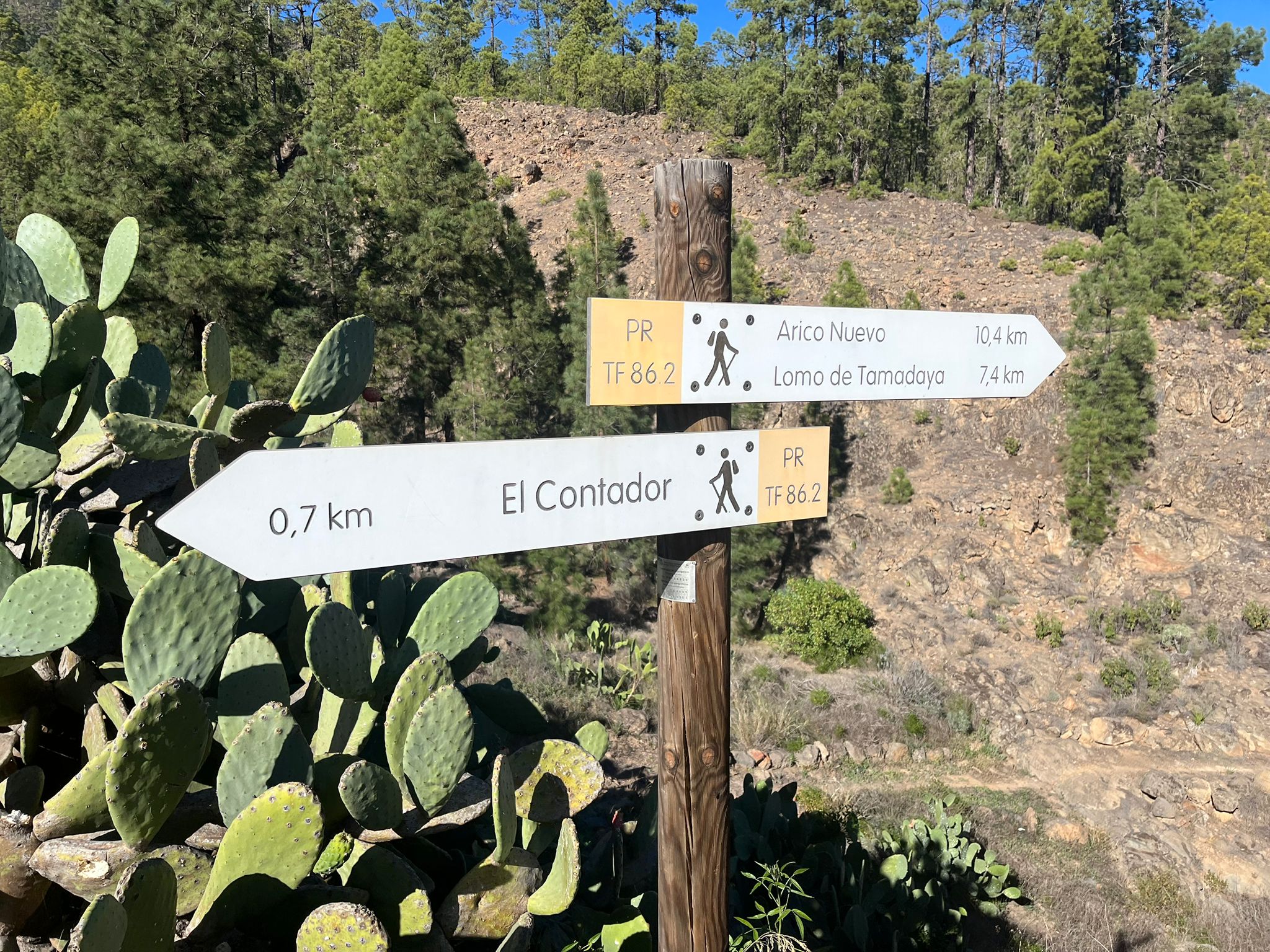 8 Day Yoga and Mindfulness Retreat to Reconnect with Your Inner Truth in Tenerife, Spain
