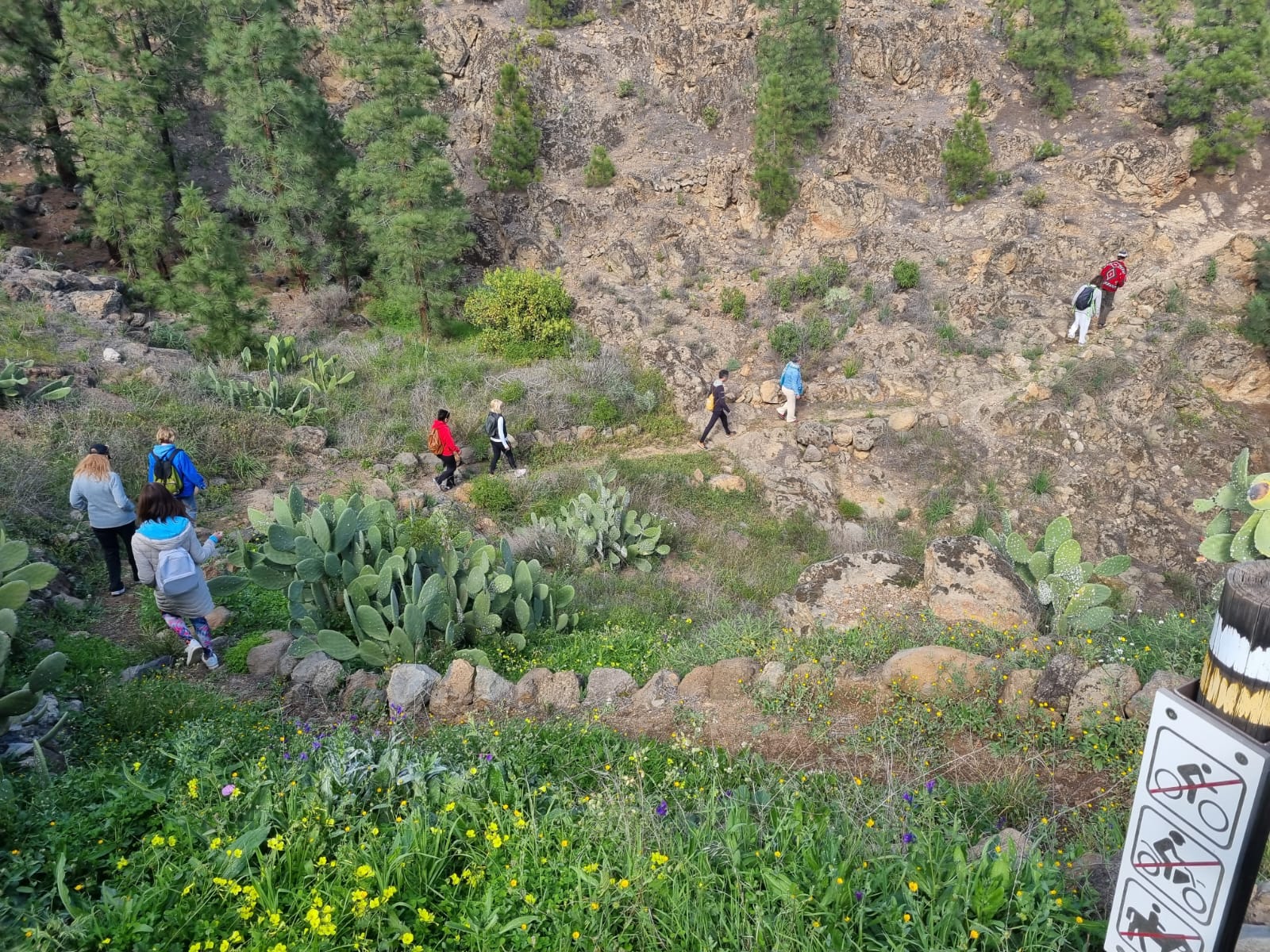 Retiro de Yoga e Mindfulness de 8 Dias para Reencontrar a Sua Verdade Interior em Tenerife, Espanha 31