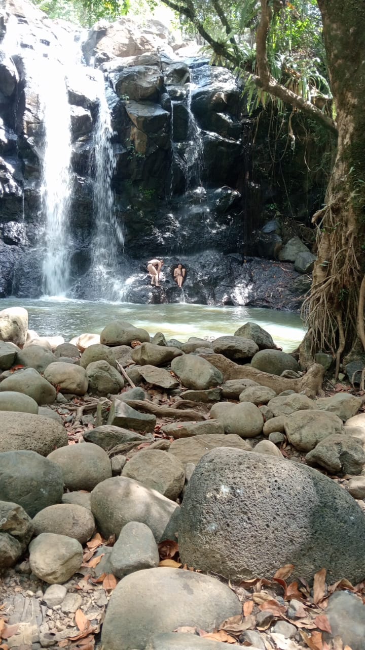 Retiro de yoga de bienestar de 8 días para relajarte y renovarte en Bali, Indonesia 7