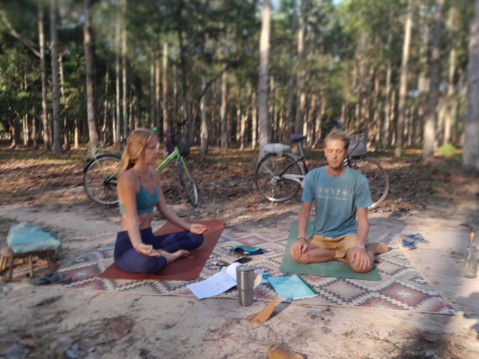 200-Hour Online Certified Self-Paced Mindfulness, Meditation and Holistic Yoga Teacher Training 4