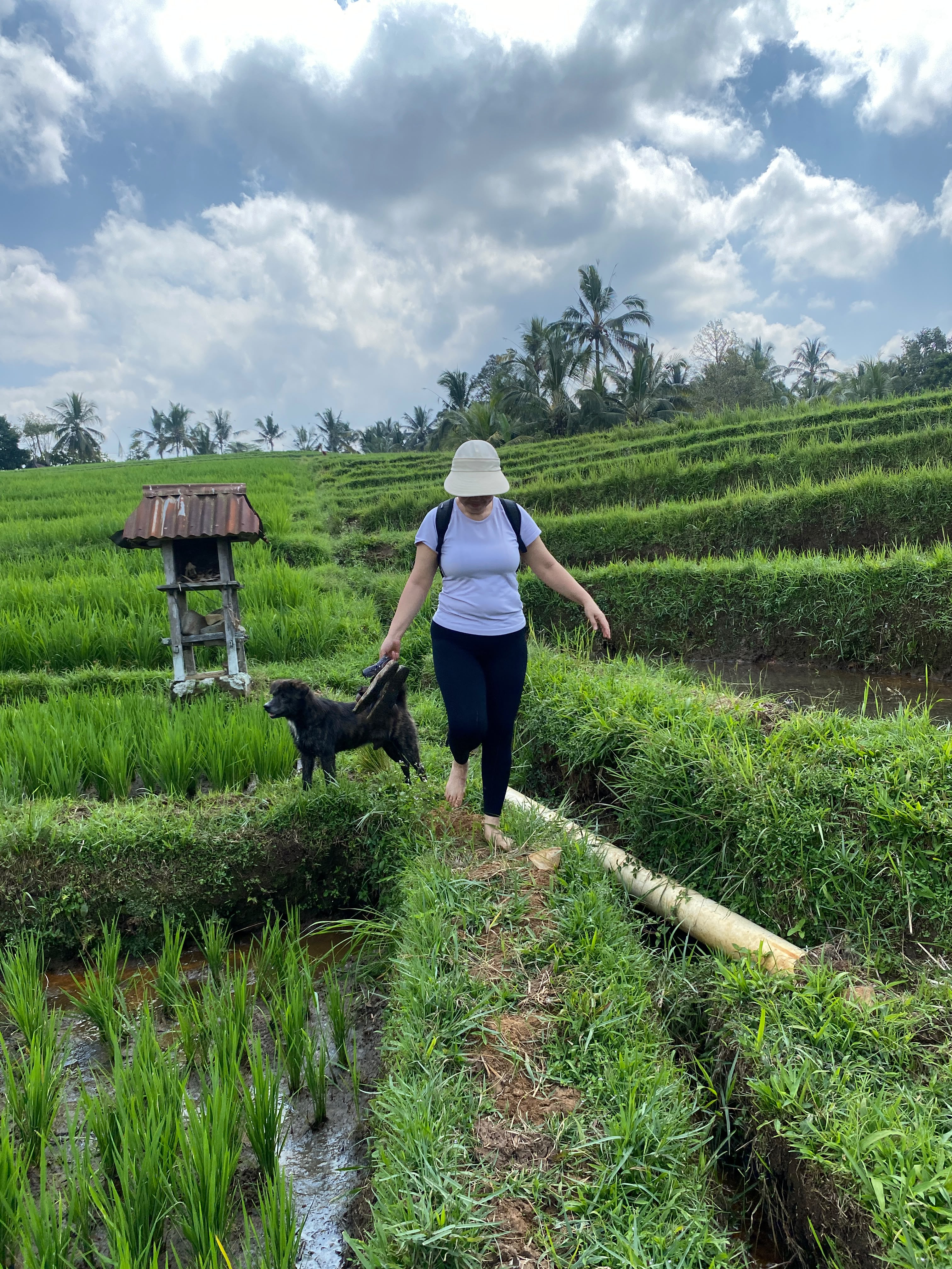 4 Dias de Terapia Spa e Ioga Balinesa Watukaru em Tabanan, Bali, Indonésia 11