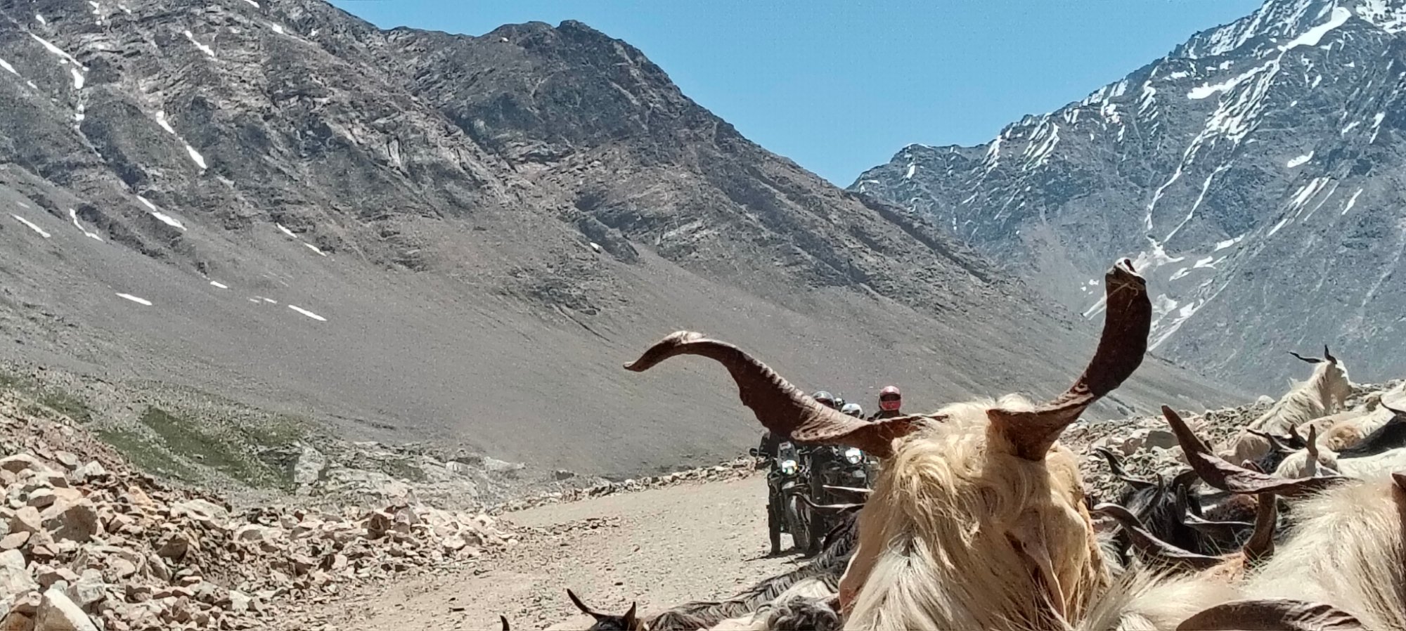 10 dagen Verborgen Himalaya-odyssee - Begeleide motorreis door India 3