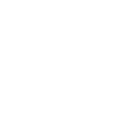 MindWise