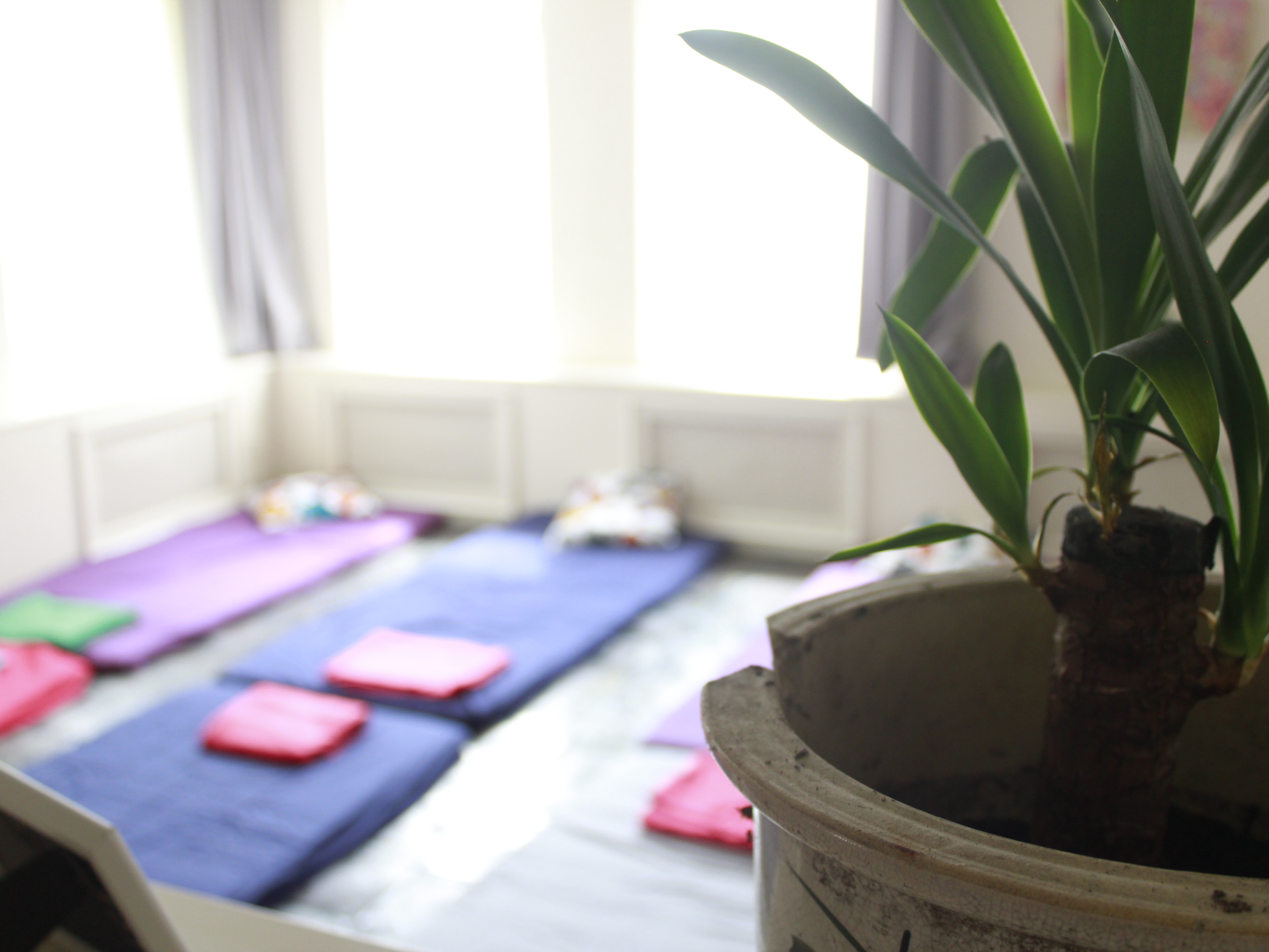 4 Day Awaru Master Plants Retreat in Switzerland 4