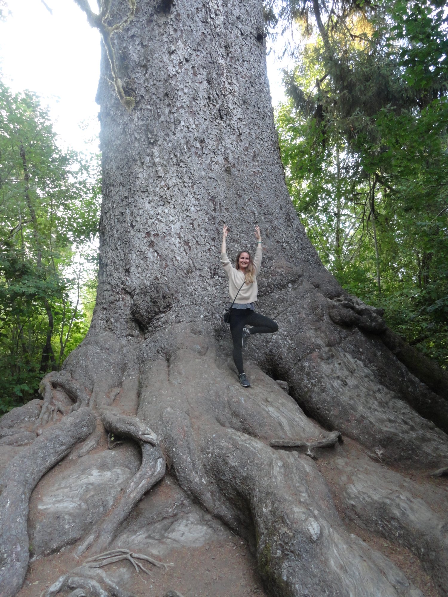 Retraite au parc national Olympic 21