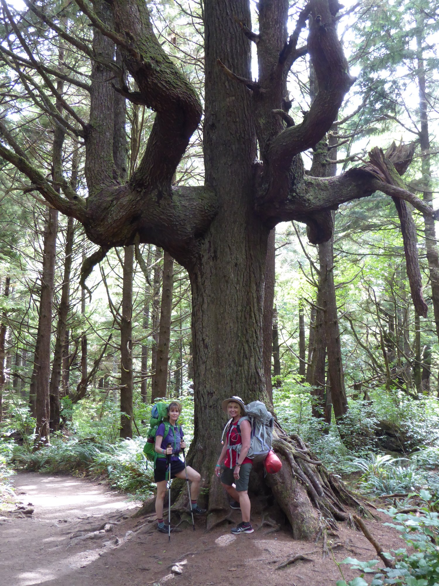Olympic National Park Retreat 5