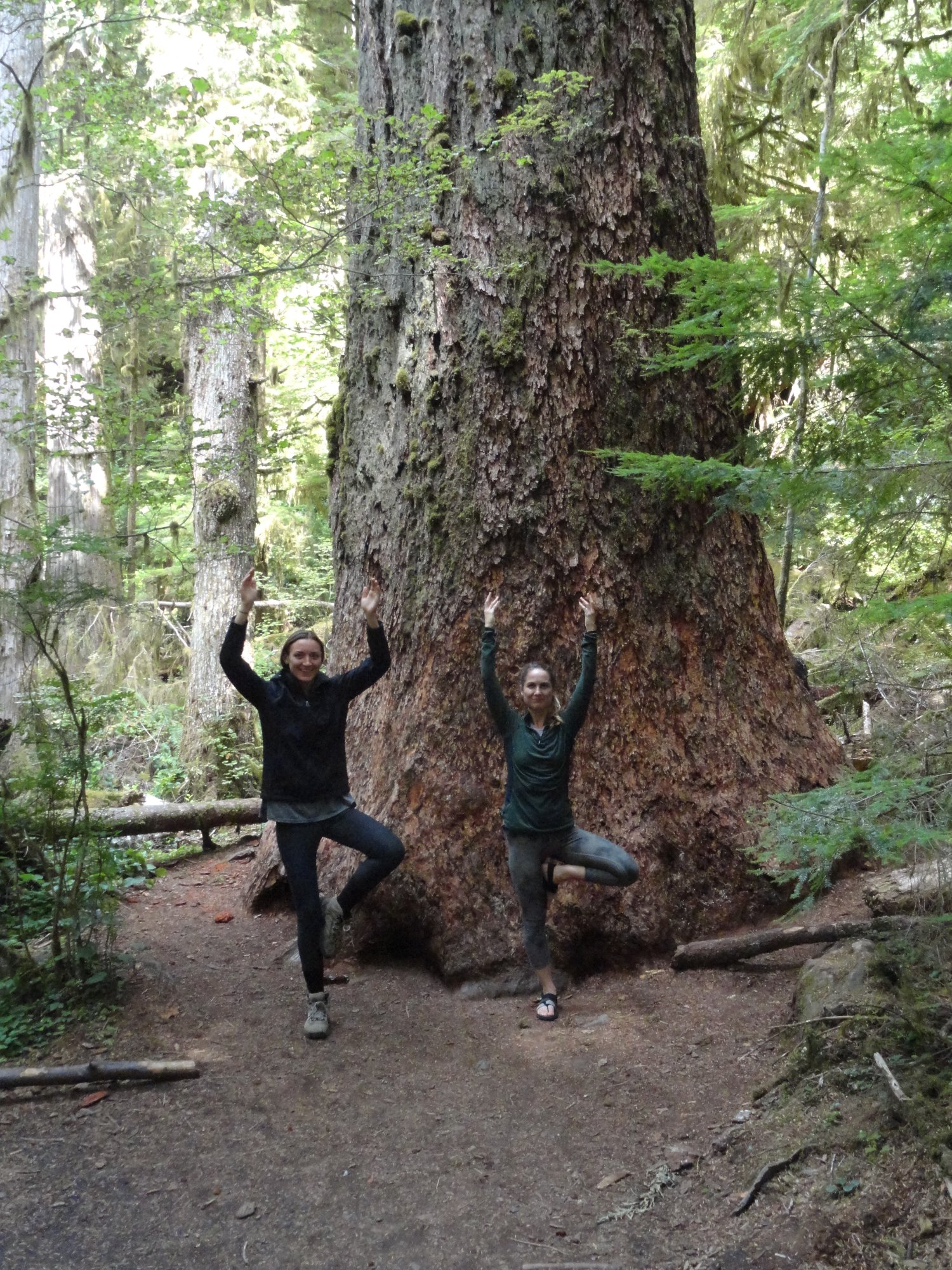 Retraite au parc national Olympic 13