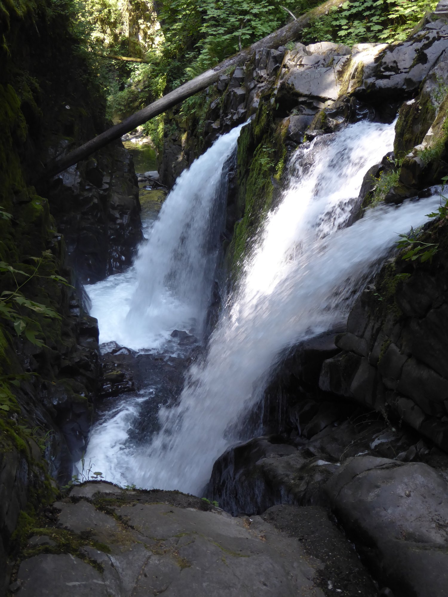 Retraite au parc national Olympic 8